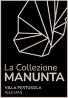 main-icon