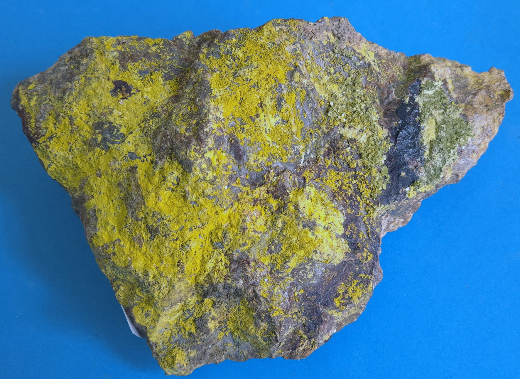 Silicati