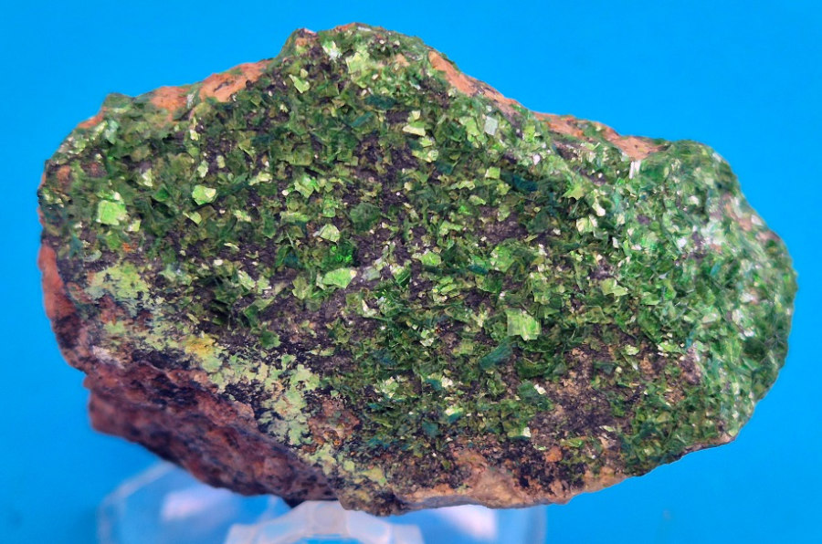 Metatorbernite