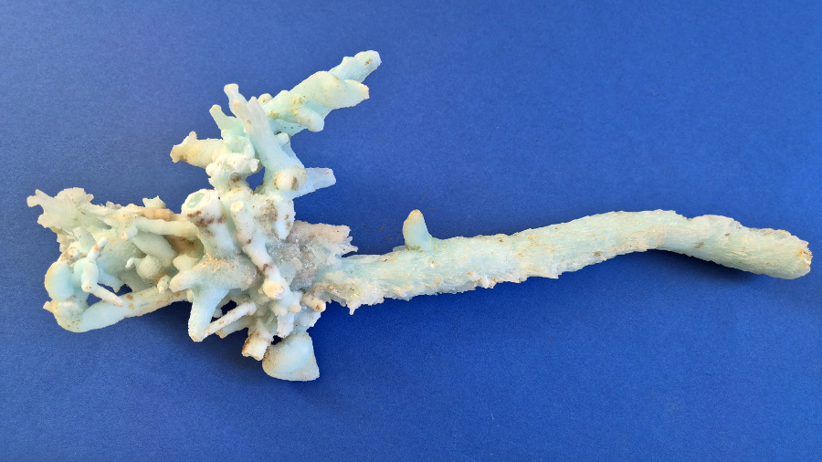 Aragonite azzurra