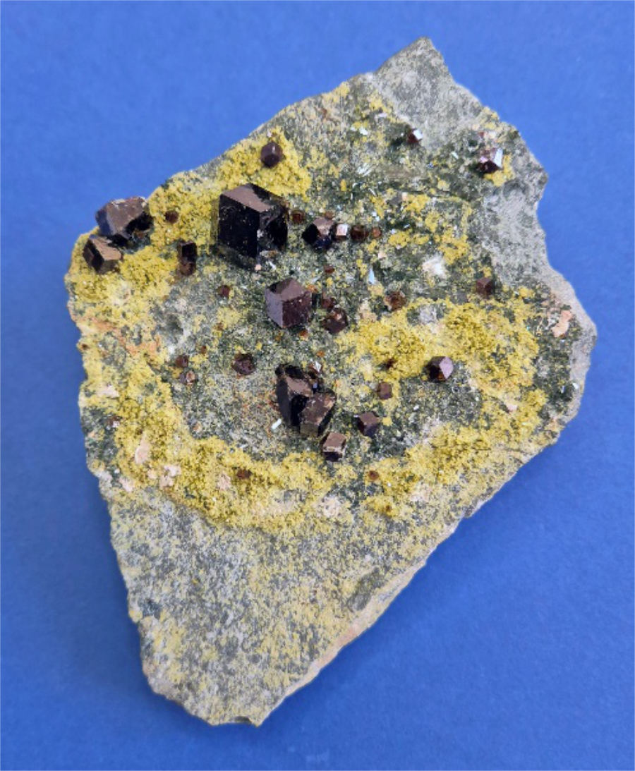 Grossularia