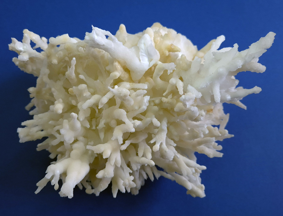 Aragonite
