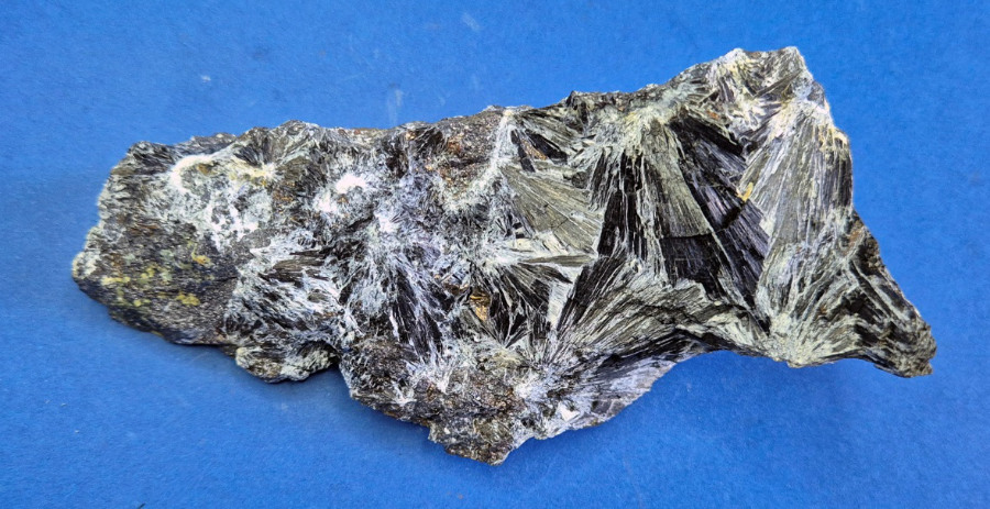 Ludwigite